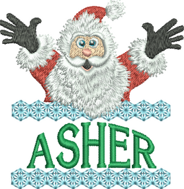 Surprise Santa Name - Asher