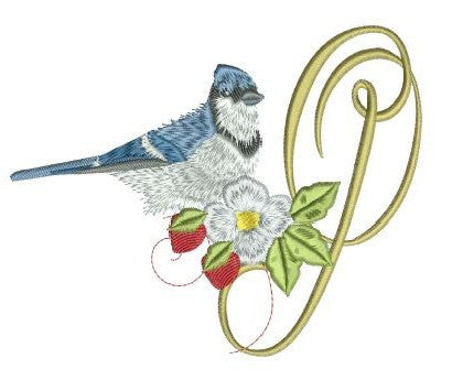 Blue Jay Alpha