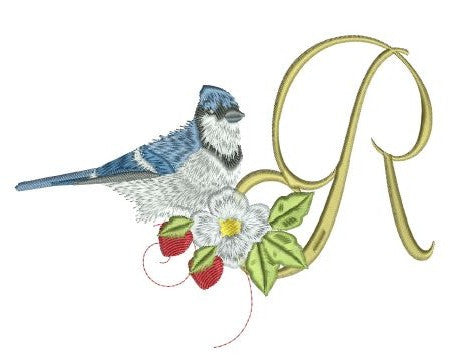 Blue Jay Alpha