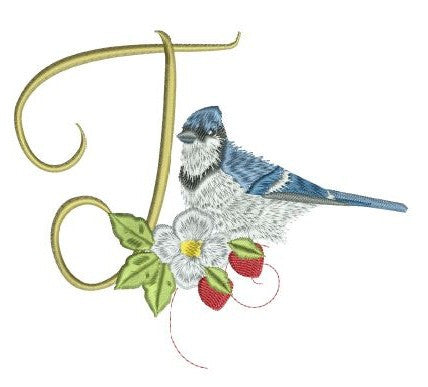 Blue Jay Alpha