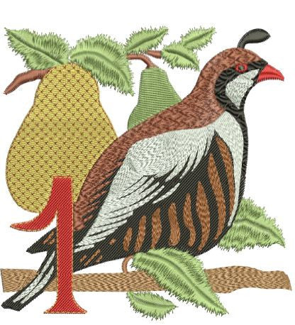 Twelve Days of Christmas 2011