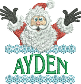Surprise Santa Name - Ayden