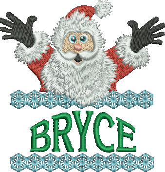 Surprise Santa Name - Bryce