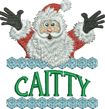 Surprise Santa Name - Caitty