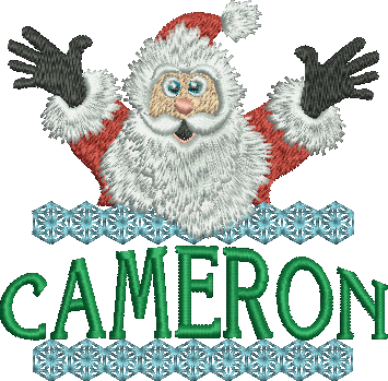 Surprise Santa Name - Cameron
