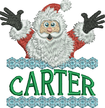 Surprise Santa Name - Carter