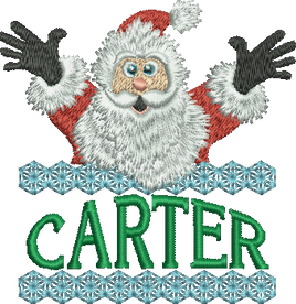 Surprise Santa Name - Carter