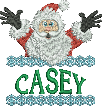 Surprise Santa Name - Casey