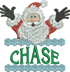Surprise Santa Name - Chase