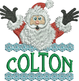 Surprise Santa Name - Colton