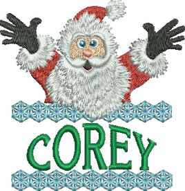 Surprise Santa Name - Corey