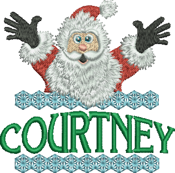 Surprise Santa Name - Courtney