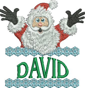 Surprise Santa Name - David