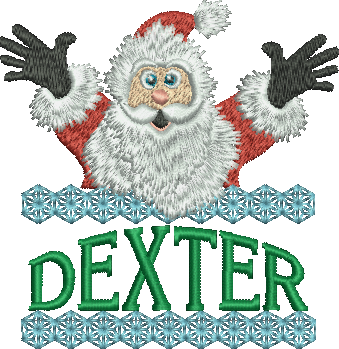Surprise Santa Name - Dexter