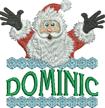Surprise Santa Name - Dominic