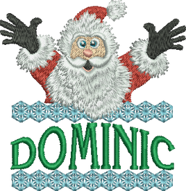 Surprise Santa Name - Dominic