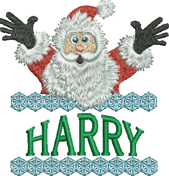 Surprise Santa Name - Harry