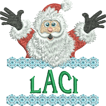 Surprise Santa Name - Laci