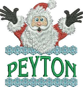 Surprise Santa Name - Peyton