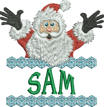 Surprise Santa Name - Sam