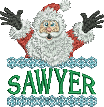 Surprise Santa Name - Sawyer