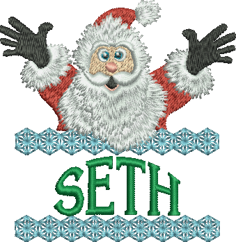 Surprise Santa Name - Ted