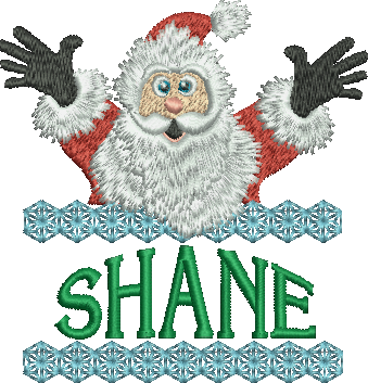 Surprise Santa Name - Shane