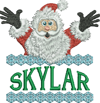 Surprise Santa Name - Skylar