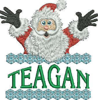 Surprise Santa Name - Teagan