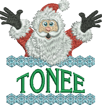 Surprise Santa Name - Tonee