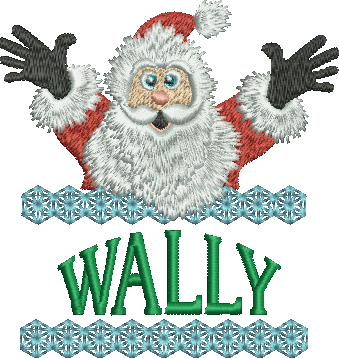 Surprise Santa Name - Wally
