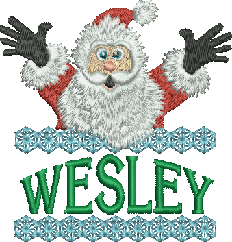 Surprise Santa Name - Wesley