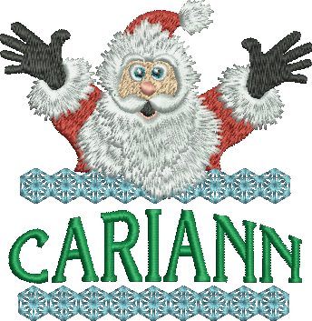Surprise Santa Name - CariAnn