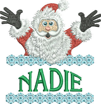 Surprise Santa Name - Nadie