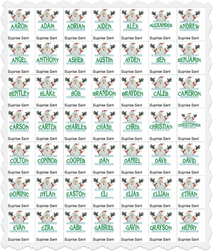 Surprise Santa - Boy Names Collection