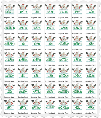 Surprise Santa - Boy Names Collection