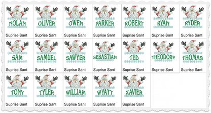 Surprise Santa - Boy Names Collection